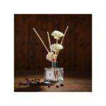 Fragrance Reed Diffuser, 50ML Aromatherapy Diffuser